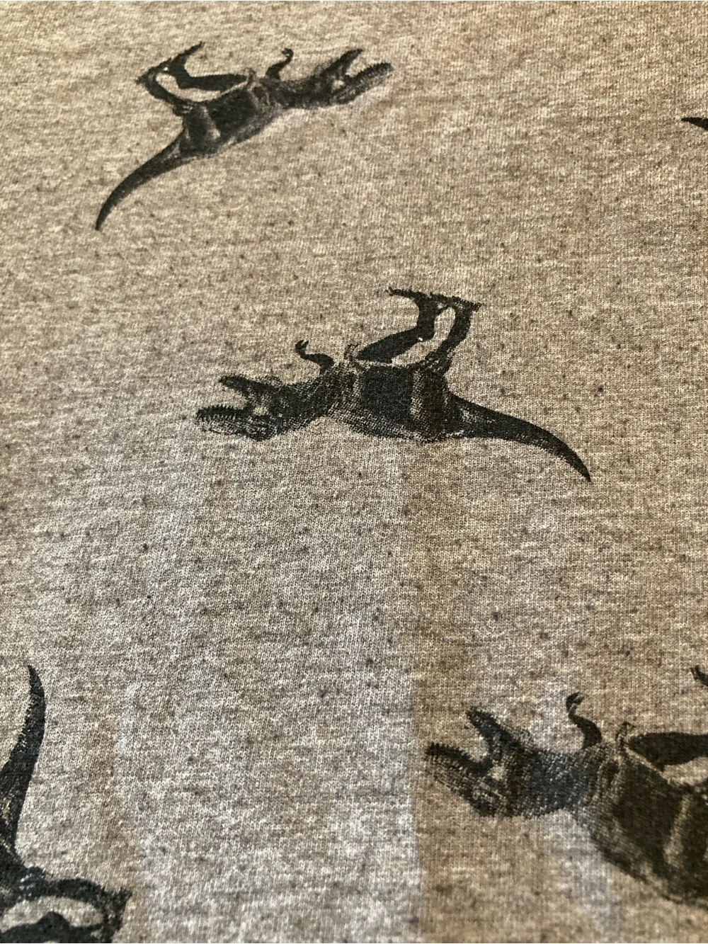 Kids Dino Graphic Tees